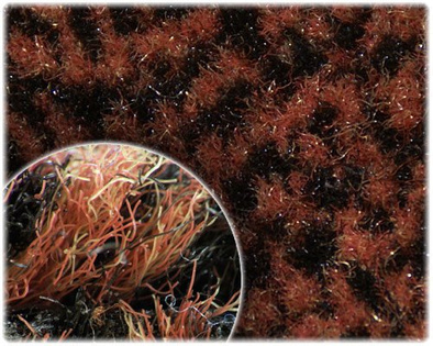 Wycieraczka HUSO - kolor brązowy