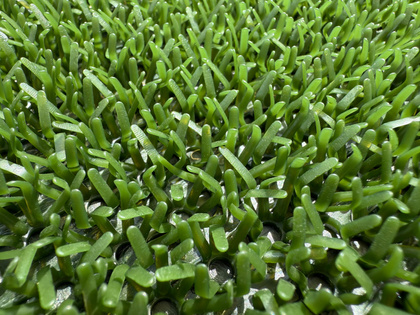 Wycieraczka Astro Turf - kolor zielony