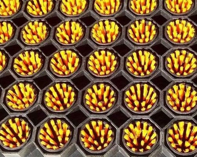 Szczoteczki czyszczące kolor czerwone